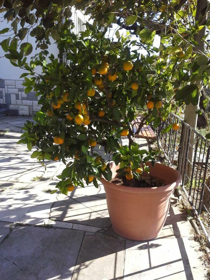 Apartma Bajci Ajdovščina Dış mekan fotoğraf