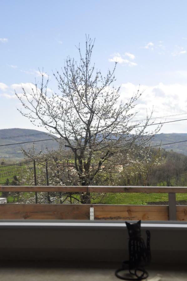 Apartma Bajci Ajdovščina Dış mekan fotoğraf