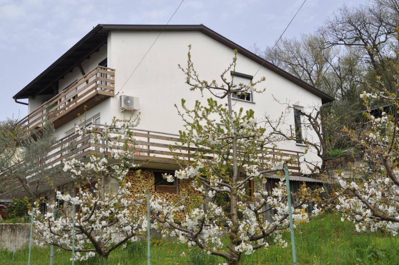 Apartma Bajci Ajdovščina Dış mekan fotoğraf